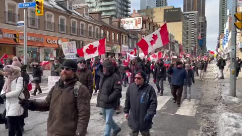 Toronto, Canada - Massive crowd at anti-mandate protest! People demanding freedom!