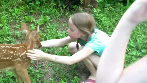 Baby fawn meets the girls