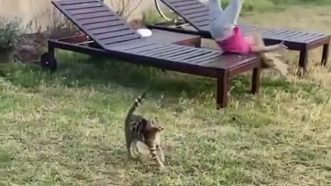 Funny Cats scaring the girl to fall