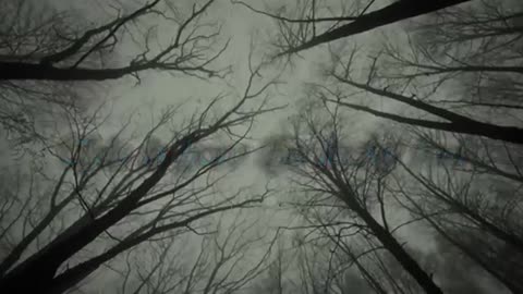 Amorphis - Black winter day