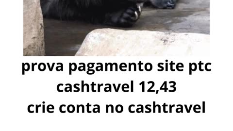 prova pagamento site ptc cashtravel 12,43 (1).mp4