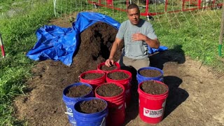 Composting Chicken Carcasses