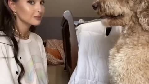 Kissing dog on their head and record their funny rectation