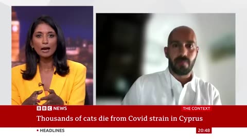 Thousands of cats die from Covid strain in Cyprus