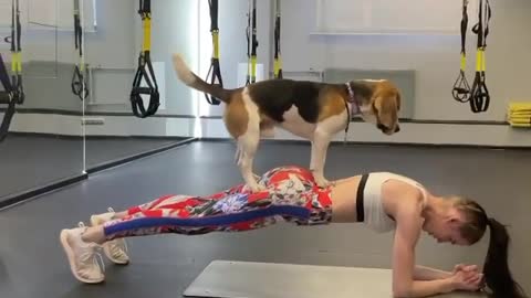 Dog Workout | Funny Dog