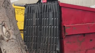 Woman in Dumpster Screams at Nobody