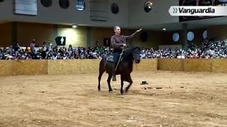 Feria Ganadera - Caballos