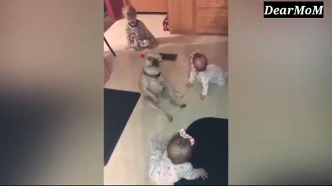 Cute Dog And Baby friendship | Pet Funny Videos | Baby Funny Videos | Funny Videos - Dear MoM