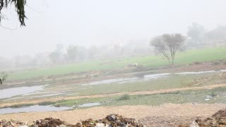 on motor cycle view of Canal and Thin bushes around