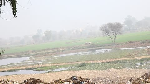 on motor cycle view of Canal and Thin bushes around