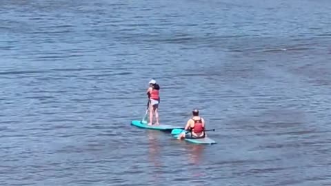 Two people on paddle boards lake