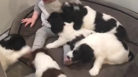 Babies AND puppies. What more could you want