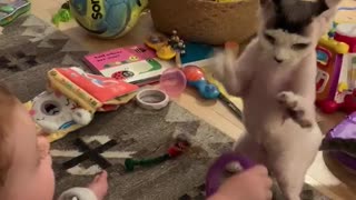 Cat loves playing with baby