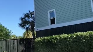 Guy tossing drink to window before jumping in pool