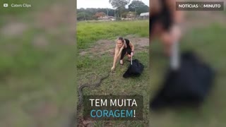 Beleza e Coragem! Mulher captura cobra com as próprias mãos