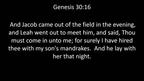 KJV Bible Genesis Chapter 30