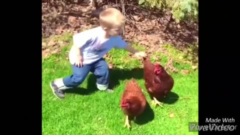 Funny Chicken And Roosters Compilation Chasing Kids - Very Funny