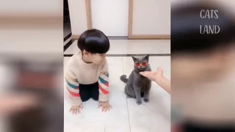 Army trained cat