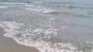 Bulgarian Black Sea private clip