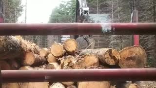 Loading logs