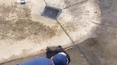 Rescuing an Opossum from Skate Park Bowl