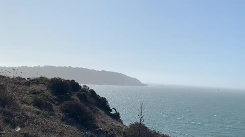 Gorgeous view by golden gate bridge