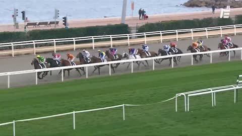 QUINTE + Khochenko - Prix Partenaire Groupe Cavallari - Cagnes-sur-Mer - 27/02/21