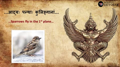 THE UNTOLD STORY OF BIRDS IN SRI RAMAYANAM