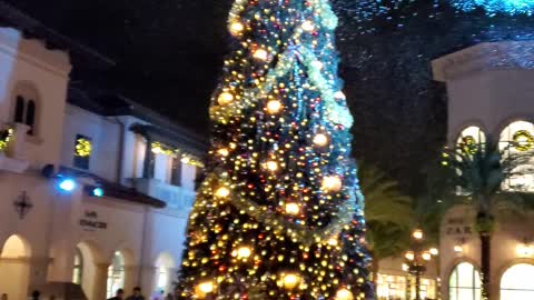 Disney springs Christmas Tree