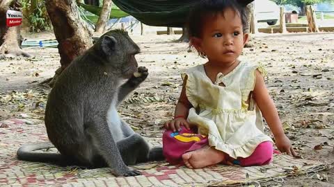 baby and monkey pure love | animals are the real companion to human being