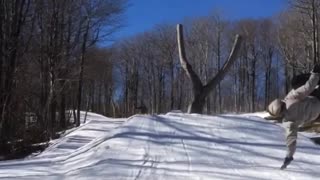 Beige jacket wishbone tree snowboard