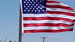 Windy day for my flags