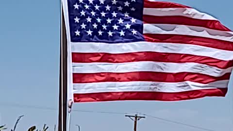 Windy day for my flags