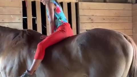 Sweet horse eats while young girl climbs all over him