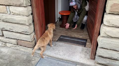 Abandoned Puppy followed us home! Tear Jerker! GOTTA WATCH