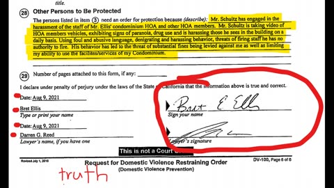 Bret Easton Ellis' domestic violence restraining order against Todd Michael Schultz 8-7-21