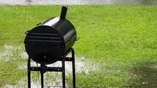 Rain day puppy play