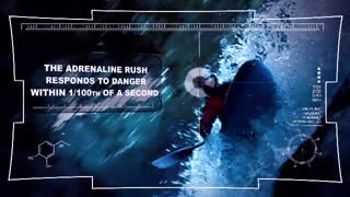 Adrenaline Lab: Jeff Wise Explains Adrenaline's Power