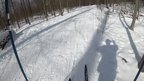 Skiing Chapin Forest Reservation Beech Wood Loop