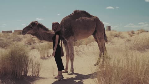With A Camel In The Desert
