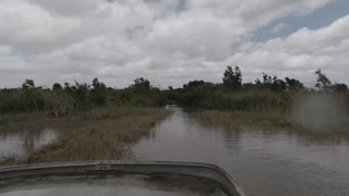 AIR BOAT THROUGH FLORIDA EVERGLADES