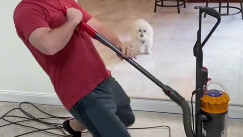 Dog and vacuum cleaner