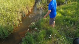 Man Catches Enormous Python Barehanded