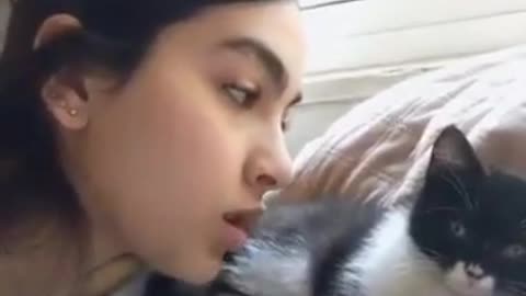 Kitten gently kisses back the girl