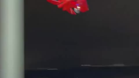 Fighter Jet Plane Toy