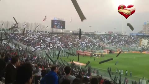 Jugadores de fútbol salen a la cancha con perritos rescatados para fomentar la adopción responsable