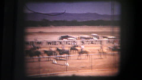 Horse/rodeo competition in Albuquerque, 1958