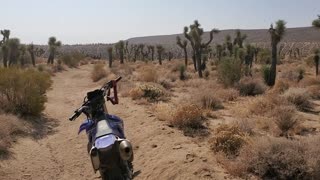 Quiet Desert Trails
