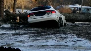 Car Pulverized by Falling Tree