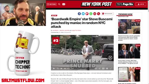 Steve Buscemi Punched by Maniac in "Crime Free" NYC Attack